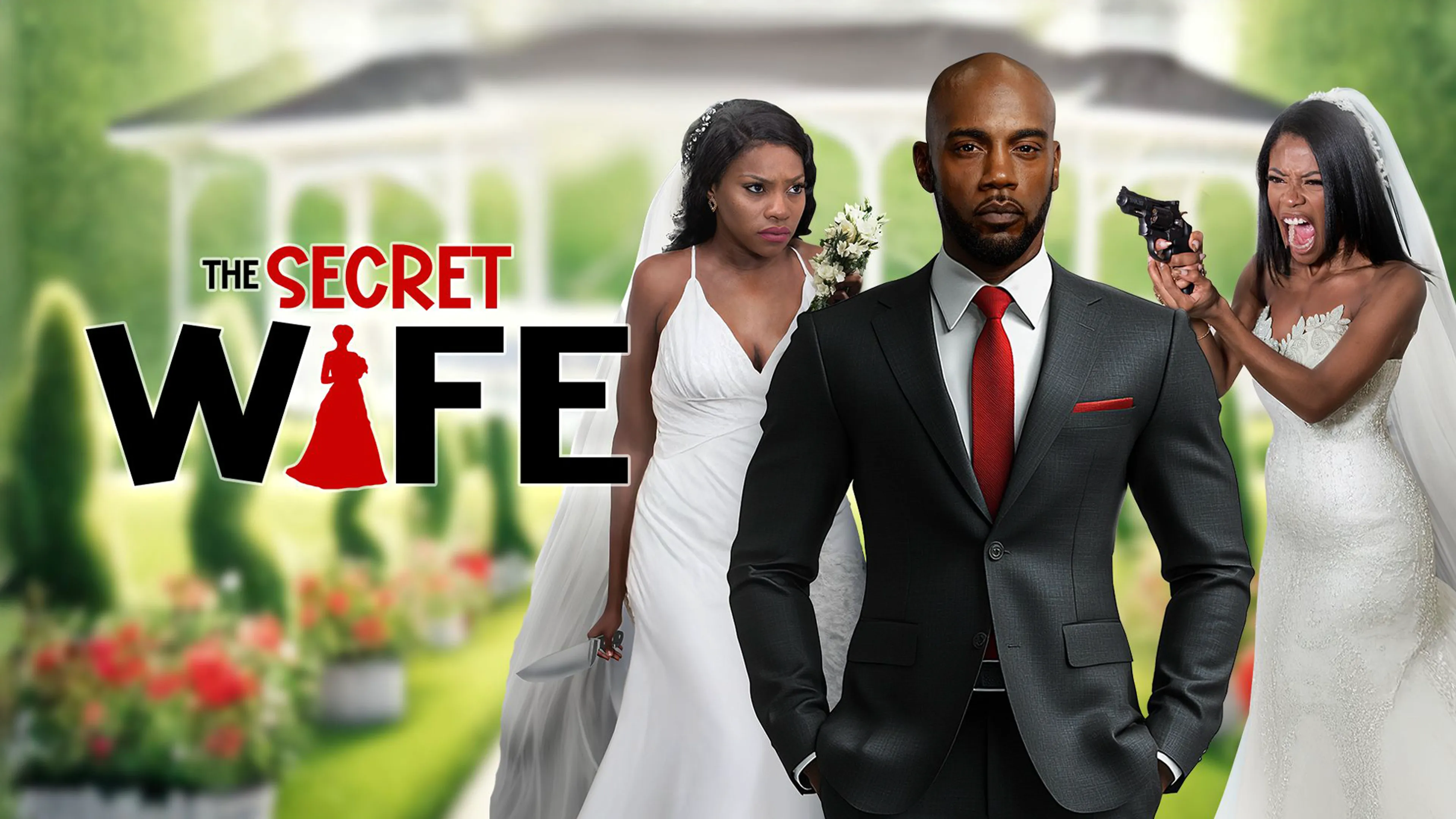The Secret Wife poster